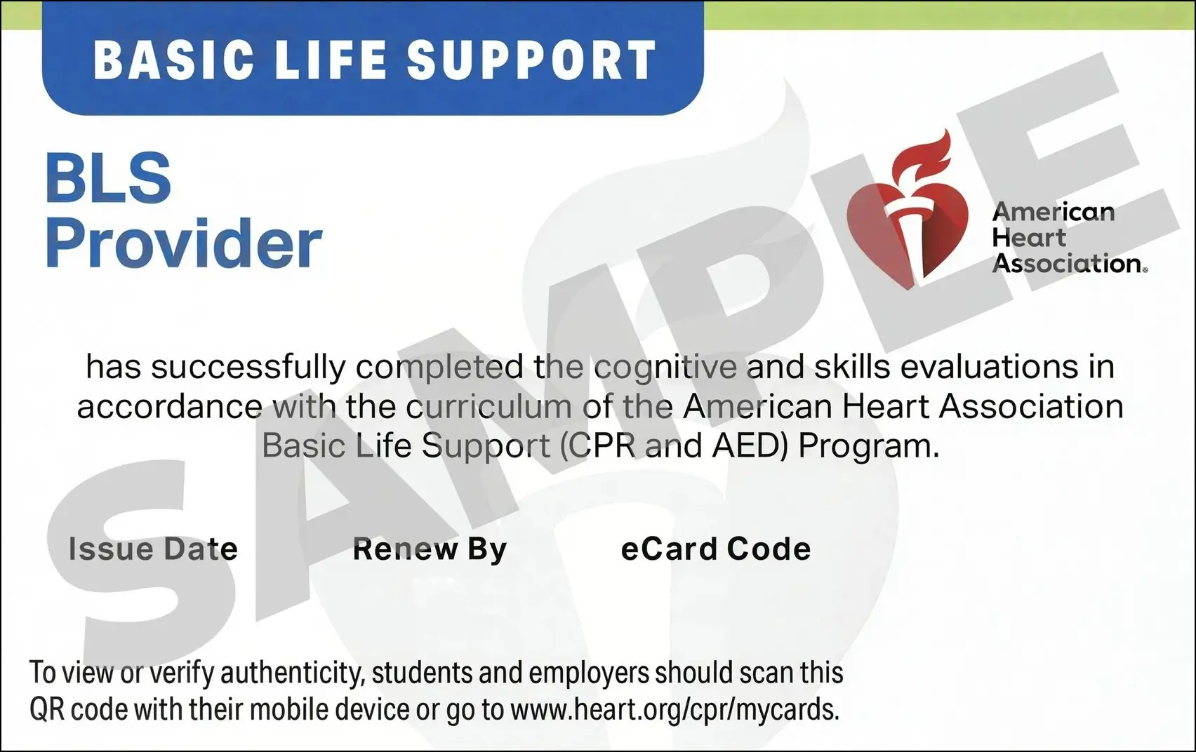 Sample American Heart Association AHA BLS CPR Card Certification from CPR Certification Cleveland